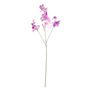 Botanica SweetPea - Purple - 73cm