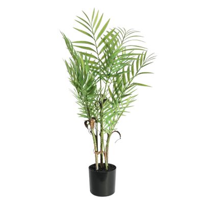 Botanica Areca Palm in Pot - 72cm 