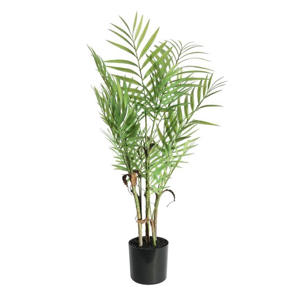 Botanica Areca Palm in Pot - 72cm 