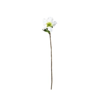 Botanica Single Open Dog Rose - White - 49cm