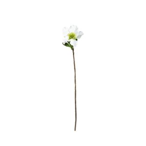 Botanica Single Open Dog Rose - White - 49cm