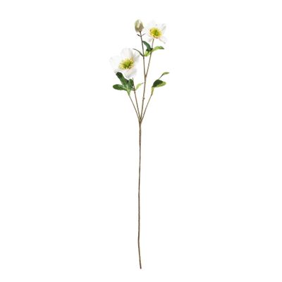 Botanica Dog Rose Spray - White - 72cm