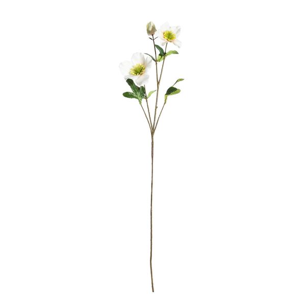 Botanica Dog Rose Spray - White - 72cm