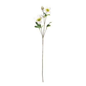 Botanica Dog Rose Spray - White - 72cm