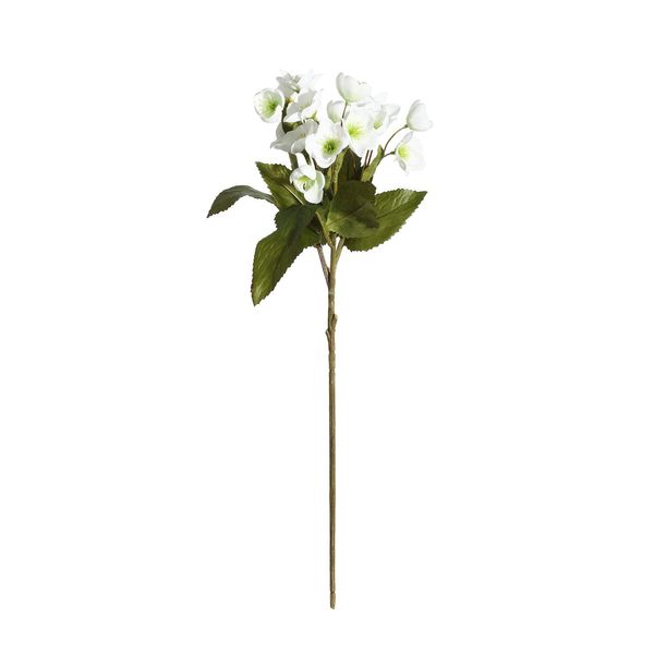 Botanica Dog Rose Bunch - White - 57cm