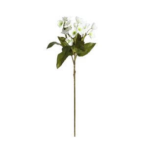 Botanica Dog Rose Bunch - White - 57cm