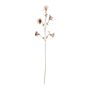 Botanica Sundaville Spray - Brown - 112cm