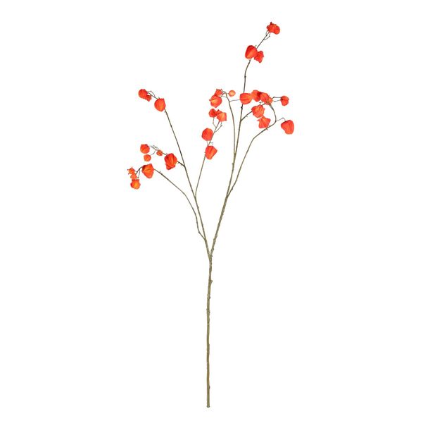 Botanica Houzuki Fruit Branch - Orange - 123cm