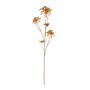 Botanica Poinsettia Branch - 141cm - Orange/Gold