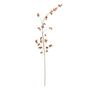 Botanica Peach Blossom Branch - 165cm - Orange/Brown