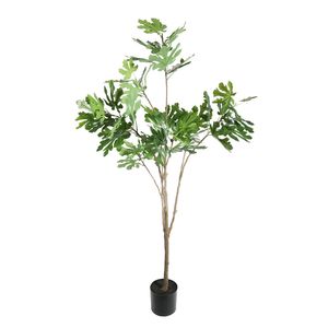 Botanica Fig Tree in pot - 160cm 