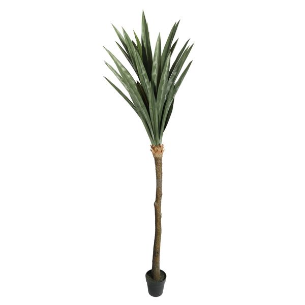 Botanica Yucca Tree in pot - 225cm 