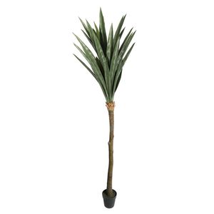 Botanica Yucca Tree in pot - 225cm 