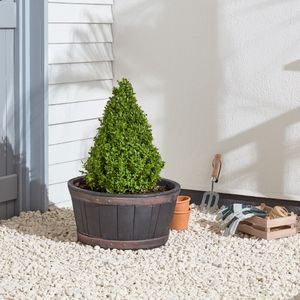 Black Oakwood Barrel Planter  50cm 