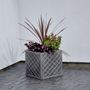 Pewter Large Lazio Planter 38cm x 38cm   