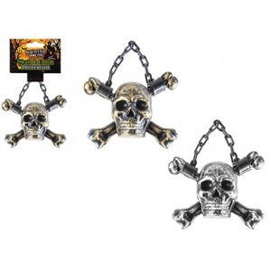 Skull Decoration on Chain.png
