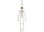  hanging skeleton dec.png
