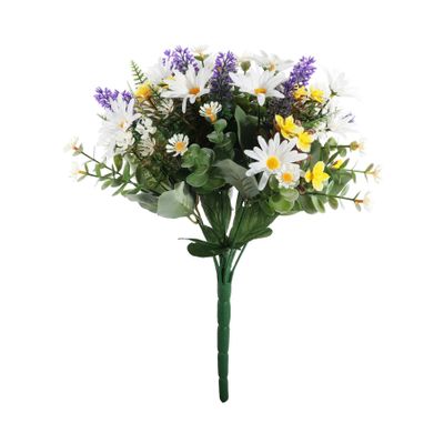 Pembroke Wild Daisy Bush x 12 - White