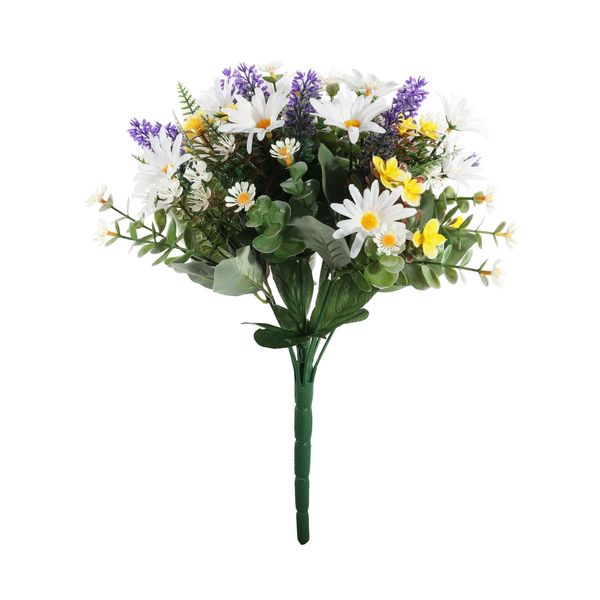 Pembroke Wild Daisy Bush x 12 - White