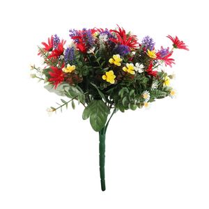 Pembroke Wild Daisy Bush x 12 - Red