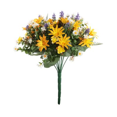 Pembroke Wild Daisy Bush x 12 - Yellow