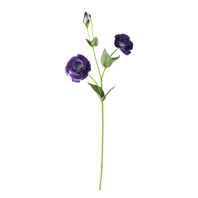Essential Lisianthus - Deep Purple