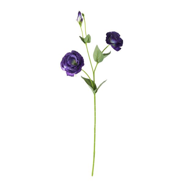 Essential Lisianthus - Deep Purple