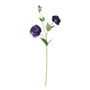 Essential Lisianthus - Deep Purple