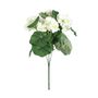 Geranium Bush - Dia35 x H15cm - 5 Stems -  White