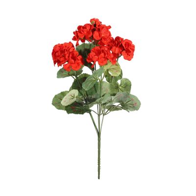 Geranium Bush - Dia35 x H10cm - 5 Stems - Red