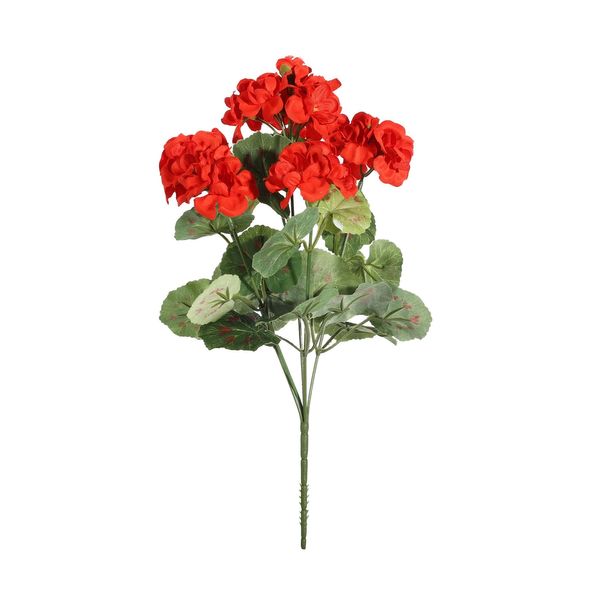Geranium Bush - Dia35 x H10cm - 5 Stems - Red