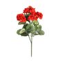 Geranium Bush - Dia35 x H10cm - 5 Stems - Red