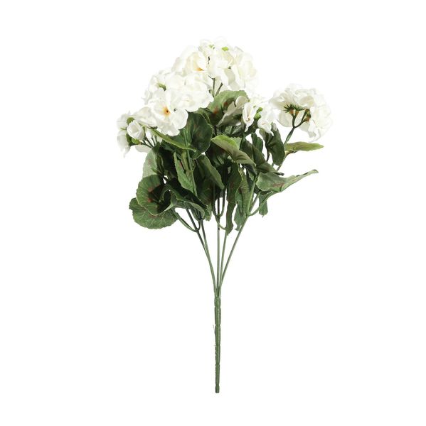 Geranium Bush - Dia35 x H10cm - 5 Stems - Cream