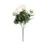 Geranium Bush - Dia35 x H10cm - 5 Stems - Cream