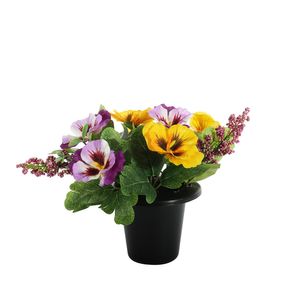 Essential Pansy Remembrance Pot - Yellow / Purple