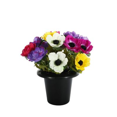 Essential Anemone Remembrance Pot - Mixed Colours