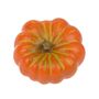 Pumpkin Orange And White.png