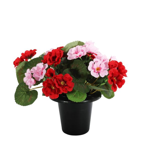 Essential Geranium Remembrance Pot - Pink / Red