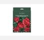  Ribbon Bow Set Red Green Kraft.png
