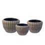 Drypot Rattan Outdoor Baskets - Set of 3