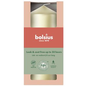 Bolsius Essentials Pillar Candle - 120 x 58mm - Metallic White Silver