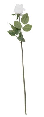 Essential - Arundel Rose Bud - White