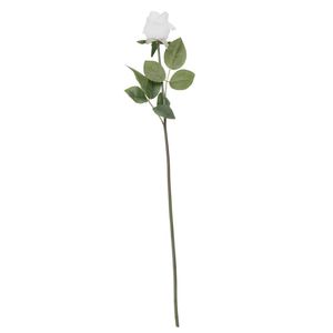 Essential - Arundel Rose Bud - White