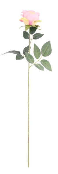 Essential - Arundel Rose - Dusky Pink