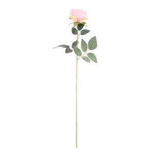 Essential - Arundel Rose - Dusky Pink