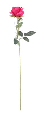 Essential - Arundel Rose - Fuchsia