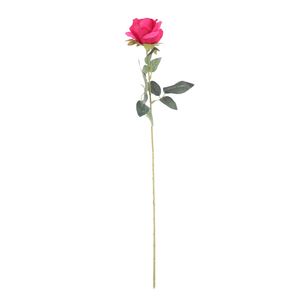 Essential - Arundel Rose - Fuchsia