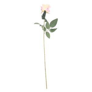 Essential - Arundel Rose - Ivory