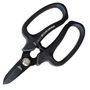 Carbon Steel Flower Shears