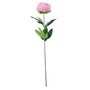 Essential - Arundel Garden Peony Dusky - Pink